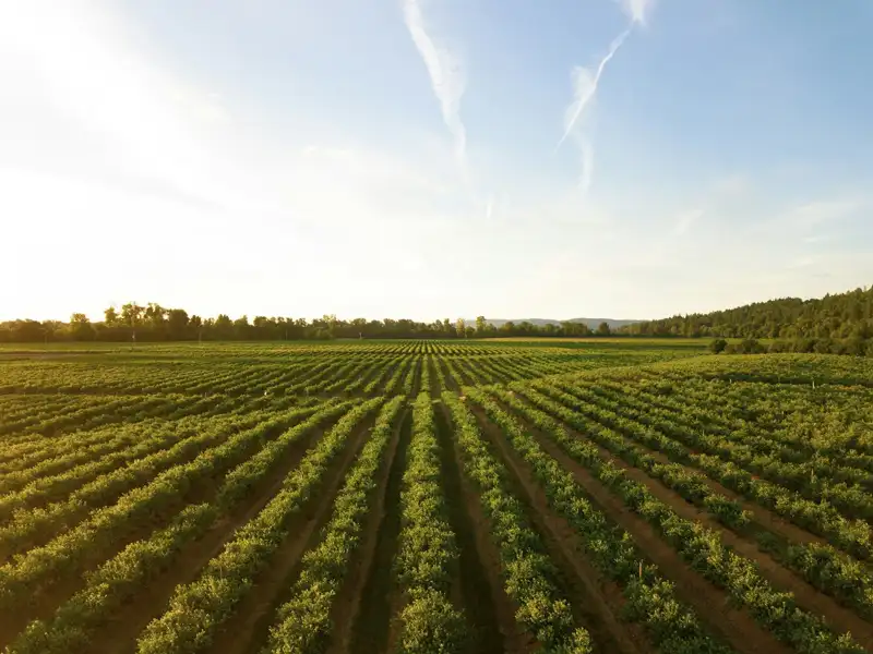 Agriculture market CarbonWorks à Libourne decabonisation